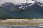 Alaska_222
