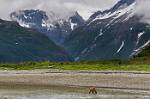 Alaska_223