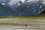 Alaska_224