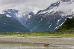 Alaska_225