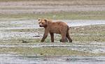 Alaska_231