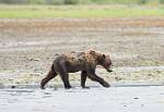 Alaska_233