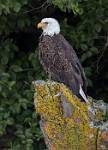 Alaska_236