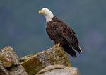 Alaska_237
