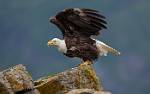 Alaska_238