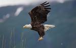 Alaska_239