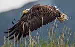 Alaska_240