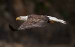 Alaska_241