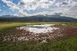 Alaska_257