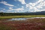 Alaska_258