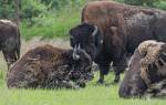 Alaska_265