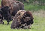 Alaska_266