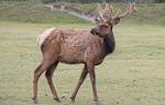 Alaska_267