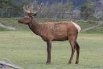 Alaska_272