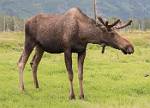 Alaska_274