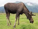 Alaska_275