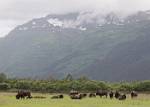 Alaska_280
