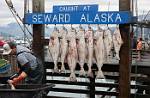Alaska_291