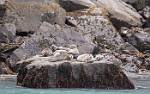 Alaska_300
