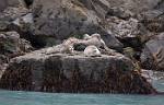 Alaska_301