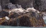 Alaska_302