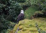 Alaska_304