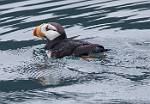 Alaska_307