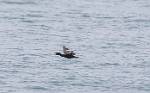 Alaska_309