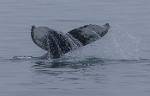 Alaska_312