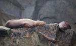 Alaska_315