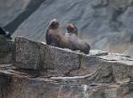 Alaska_317