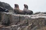 Alaska_318