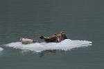 Alaska_320