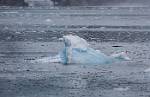 Alaska_345
