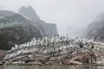 Alaska_347