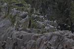 Alaska_378