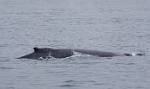 Alaska_380