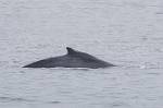 Alaska_381