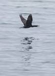 Alaska_383