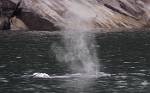 Alaska_385