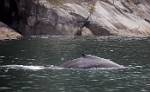 Alaska_386