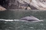 Alaska_387