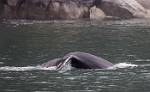 Alaska_388