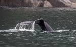 Alaska_389