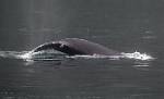 Alaska_393