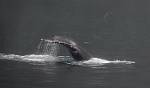 Alaska_394