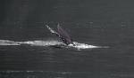 Alaska_395