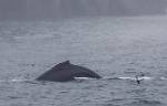 Alaska_397