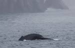 Alaska_398