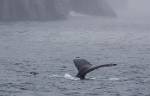 Alaska_399